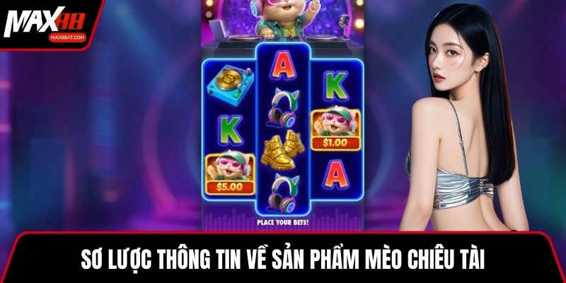 Sơ lược thông tin về sản phẩm Mèo chiêu tài